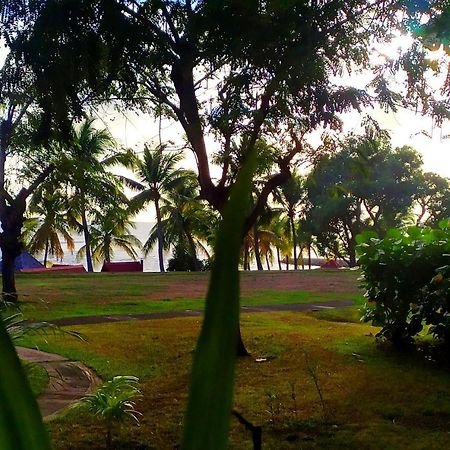 Appartamento La Perle Des Caraibes Sainte-Anne  Esterno foto