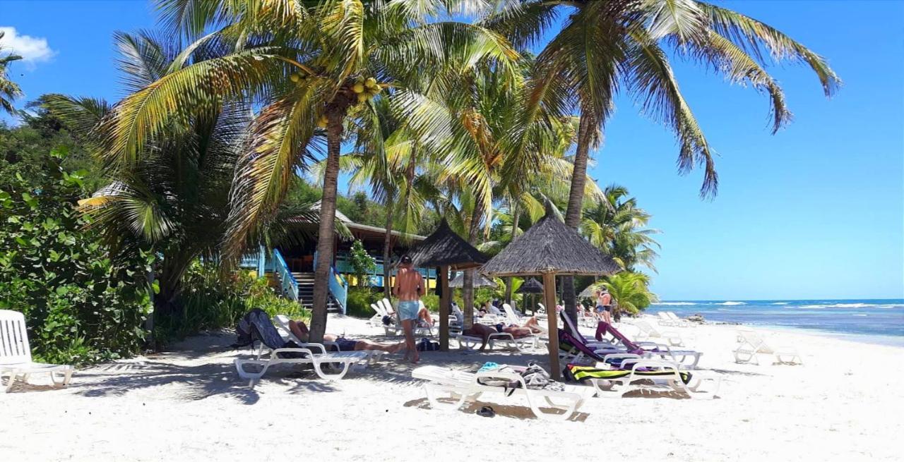 Appartamento La Perle Des Caraibes Sainte-Anne  Esterno foto