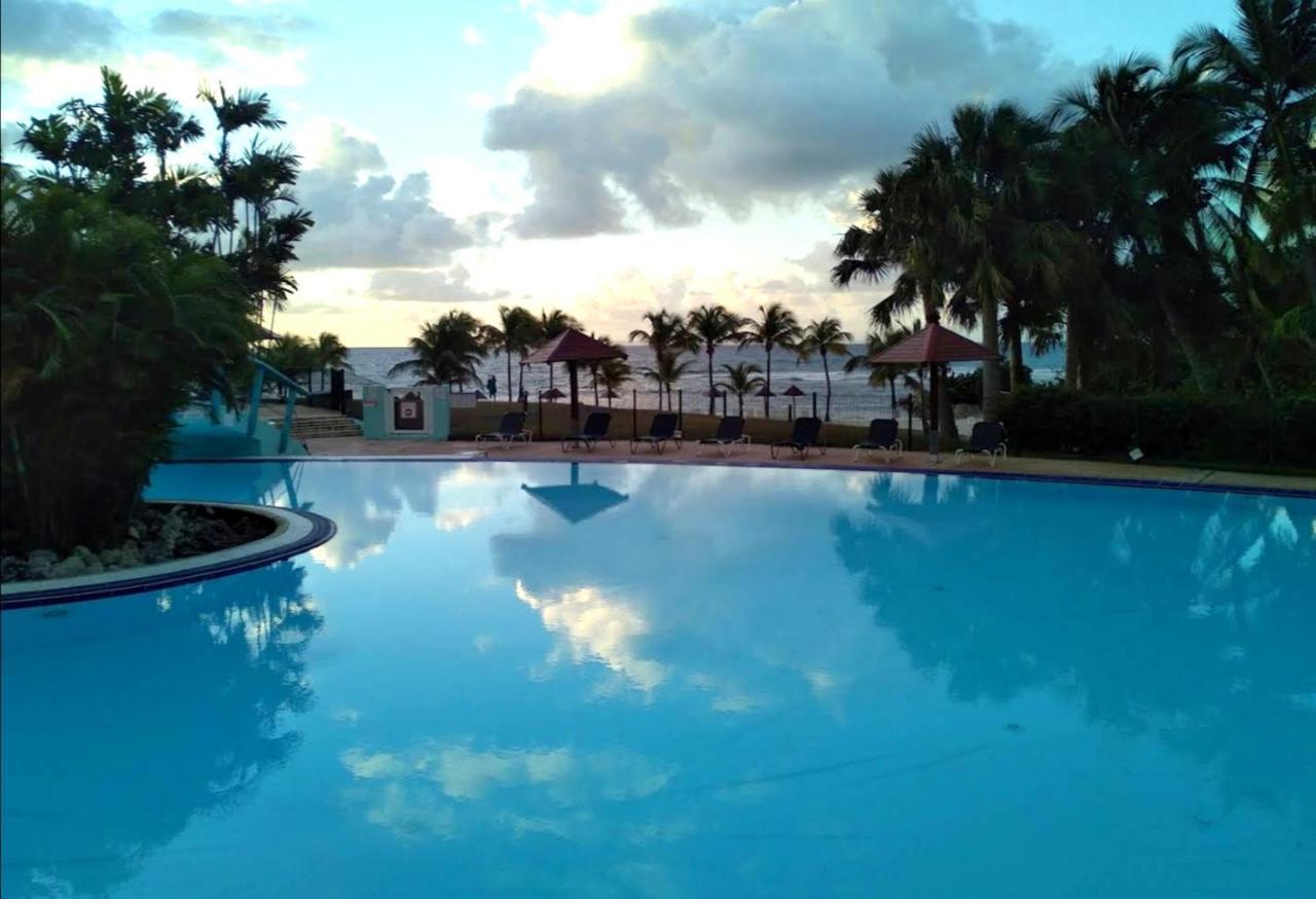 Appartamento La Perle Des Caraibes Sainte-Anne  Esterno foto