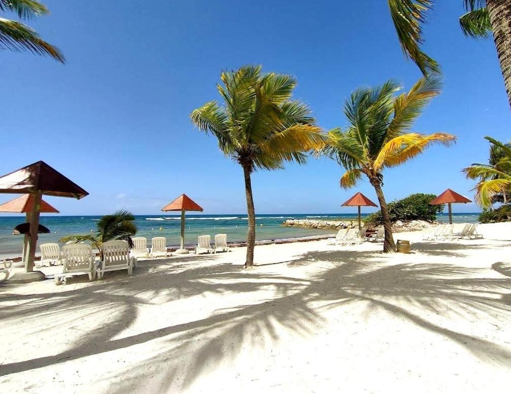 Appartamento La Perle Des Caraibes Sainte-Anne  Esterno foto