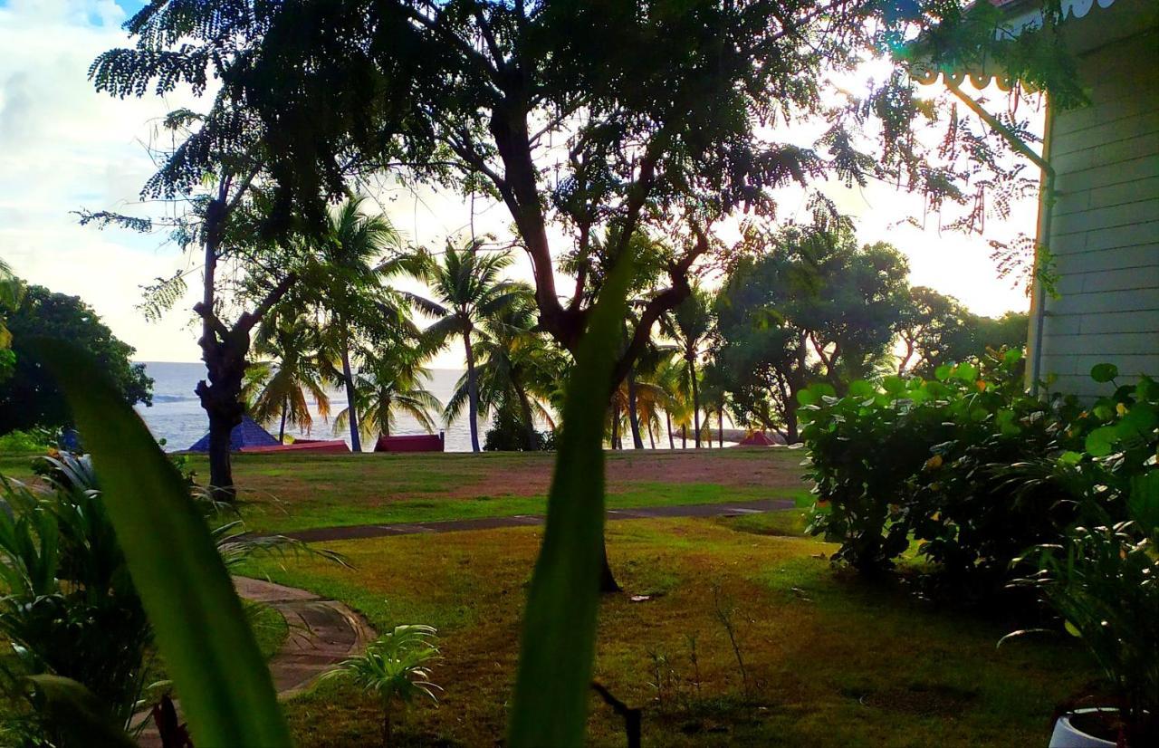 Appartamento La Perle Des Caraibes Sainte-Anne  Esterno foto